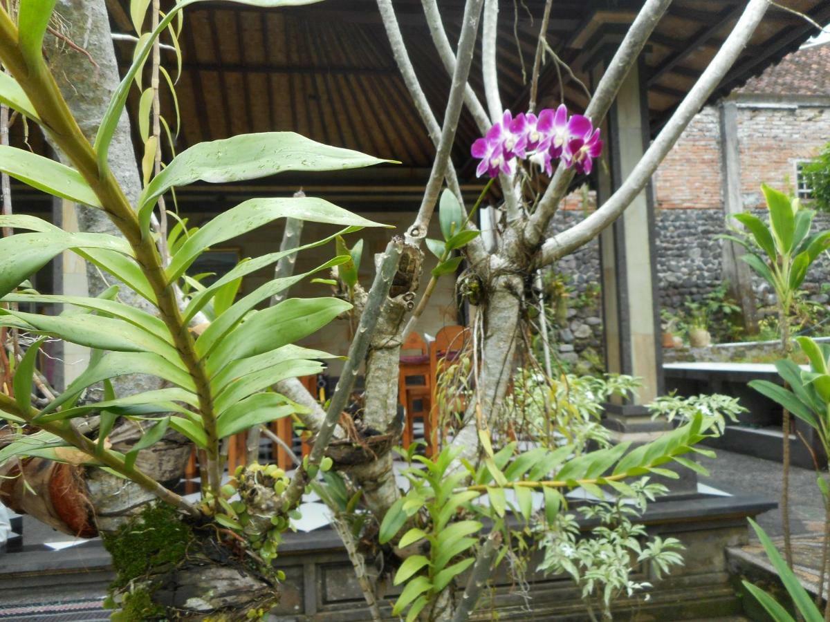 Milla Homestay Сідемен Екстер'єр фото